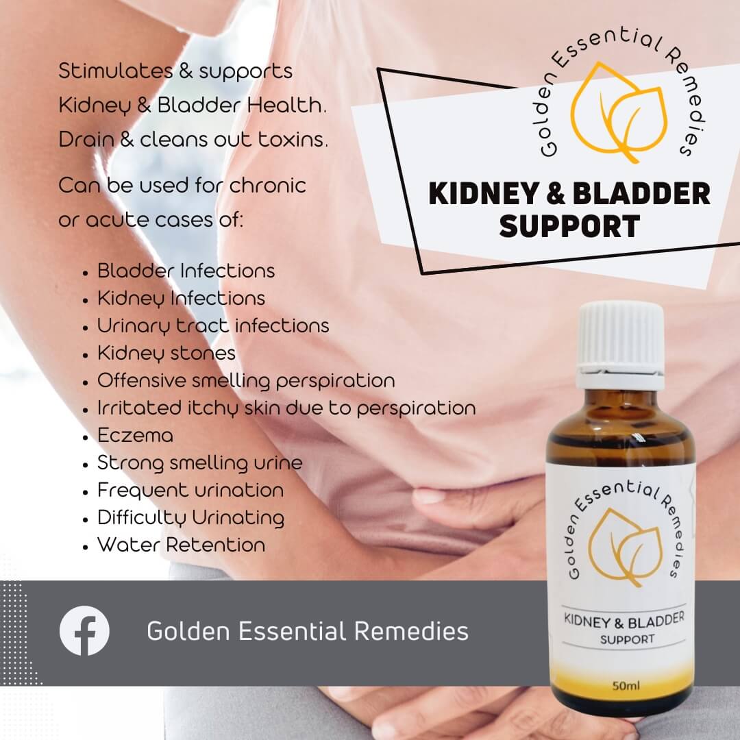 Kidney & Bladder Support - Image 2